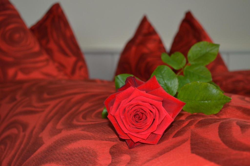 Hotel Zum Kreuz Aarau Zimmer foto